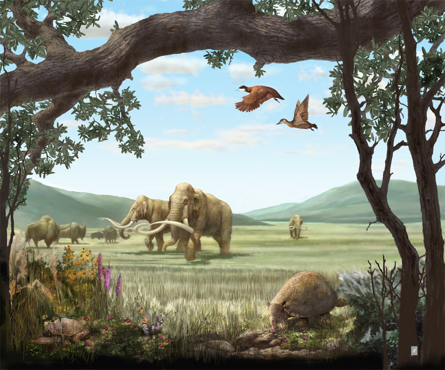 http://www.karencarr.com/auto_image/Karen_Carr_North_American_Pleistocene_Landscape.jpg