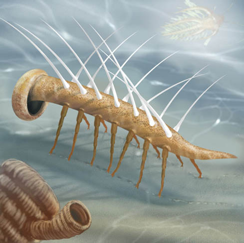 burgess shale presentment