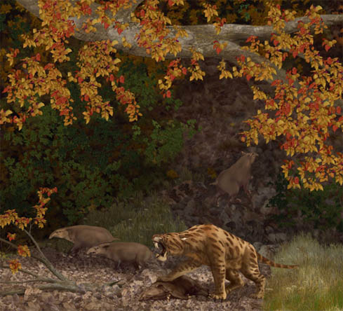 Saber Tooth Tiger. saber-tooth cat and tapir