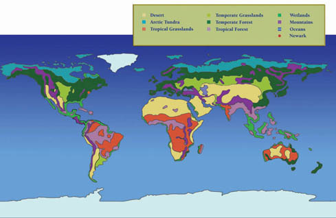 Earth Biomes Map