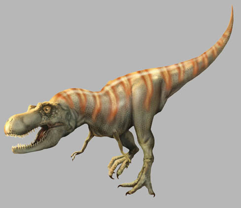 Royal_Tyrrell_Albertosaurus.jpg