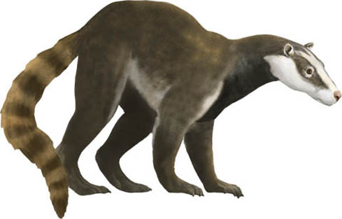 http://www.karencarr.com/auto_image/auto_image_mid/Royal_Tyrrell_Cenozoic_Arch_Chriacus.jpg