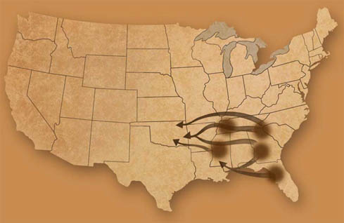native american migration map