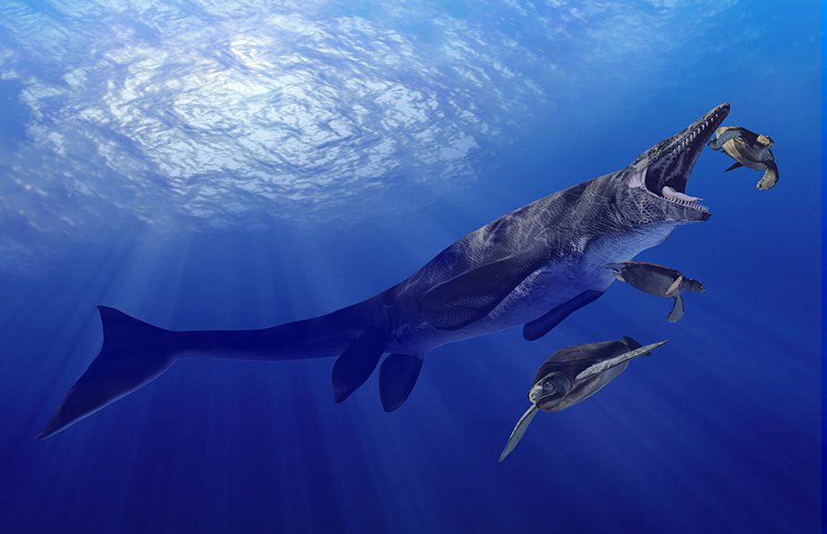 Mosasaur and turtles, Cretaceous Deep Ocean by Karen Carr