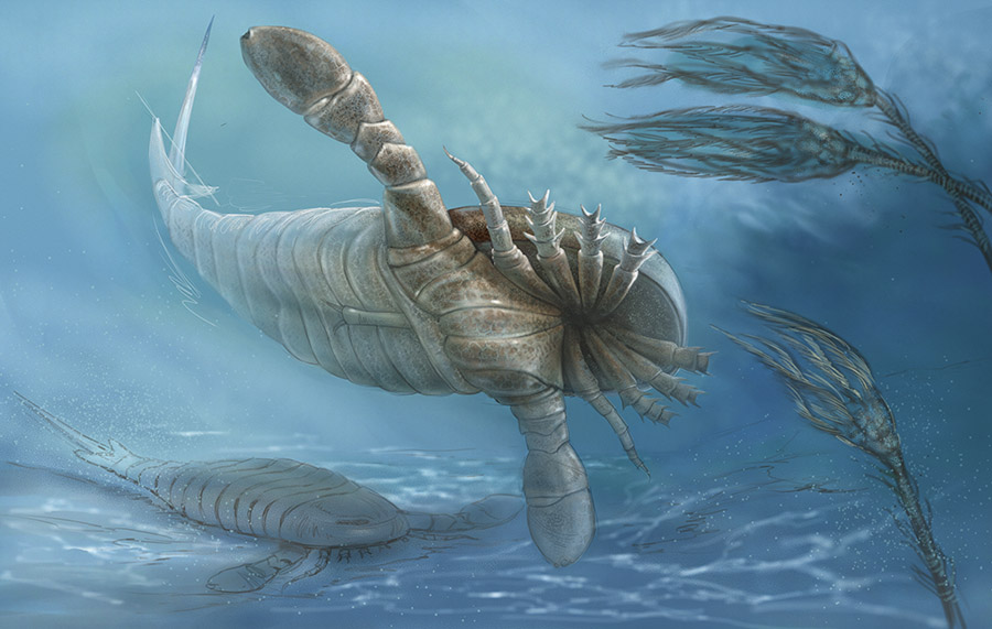 Eurypterids by Karen Carr