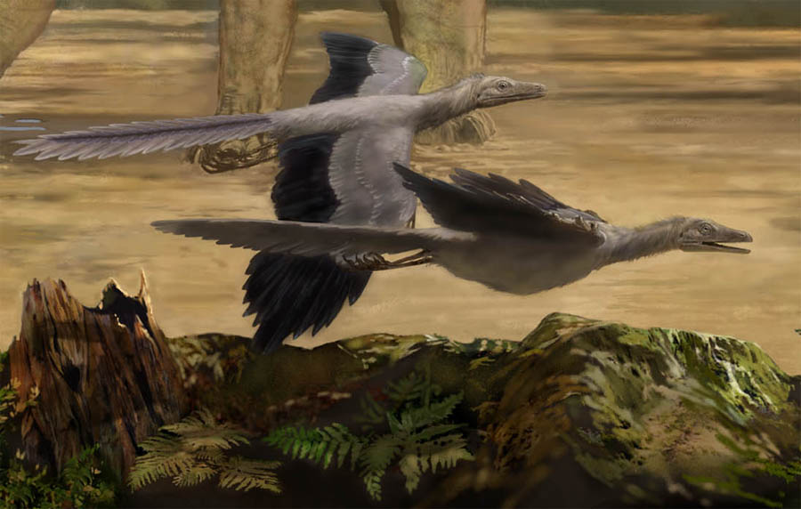 Jurassic Landscape Archaeopteryx detail by Karen Carr