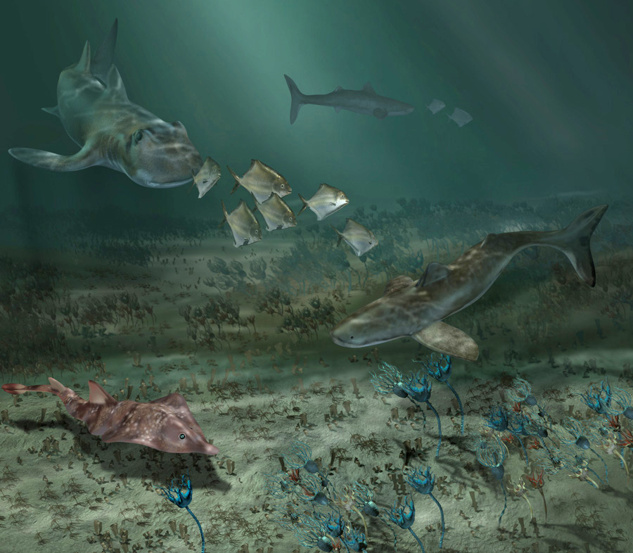 DPA Mississippian Marine Environment by Karen Carr