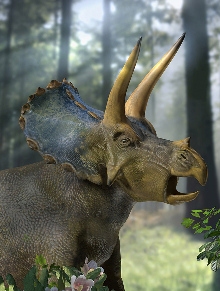 Triceratops for Witte Museum by Karen Carr