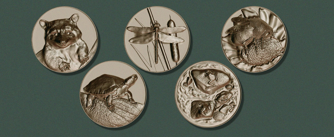 Interpretive Insights Bronze Medallions