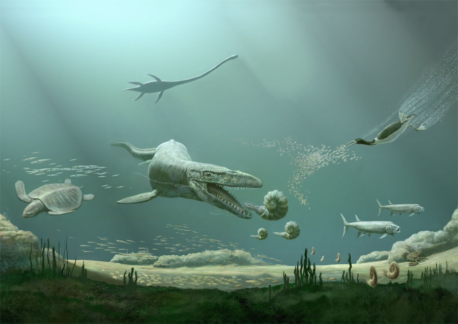 Cretaceous Marine Environment by Karen Carr