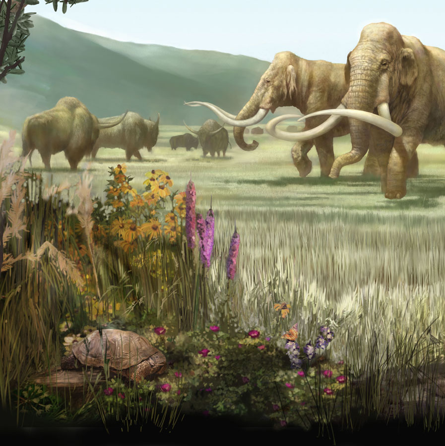 North American Pleistocene Landscape mural detail by Karen Carr