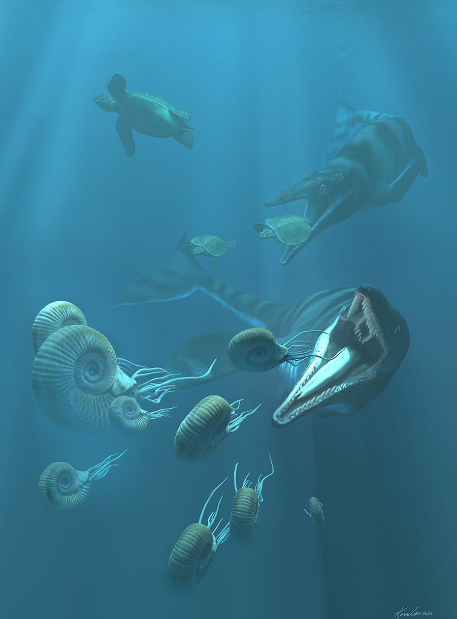 Witte Museum Cretaceous Marine Environment by Karen Carr